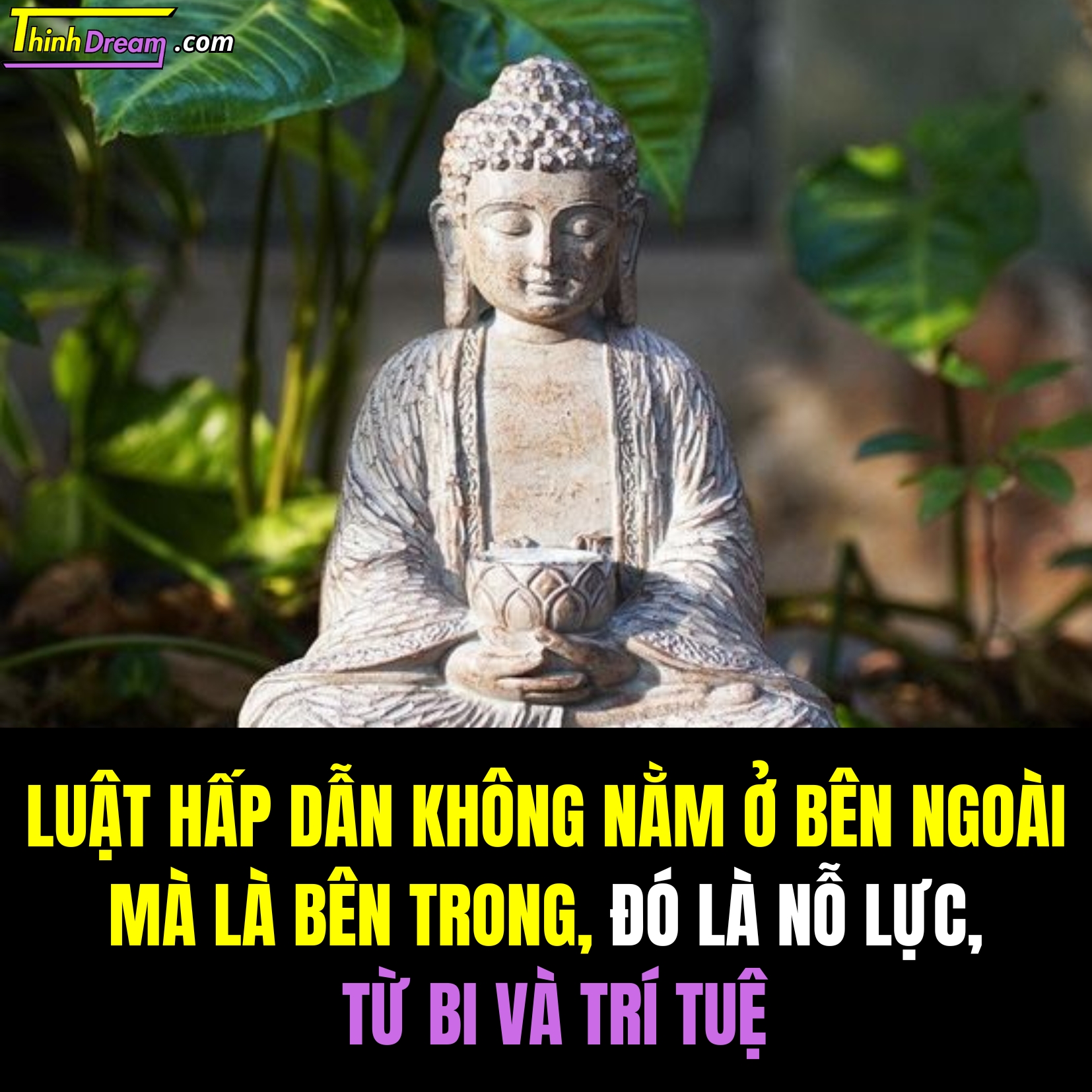 Quy luật vũ trụ, vũ trụ, thành công