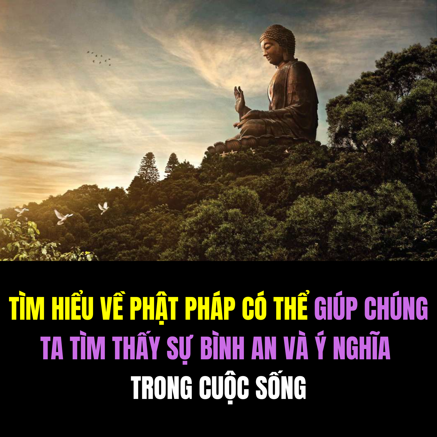 Thịnh Dream